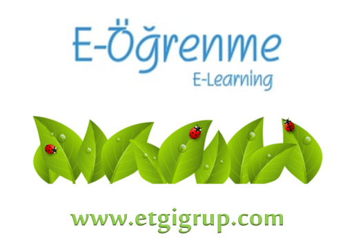 e ogrenme etgigrup com