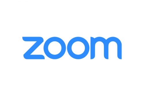 Zoom Logo